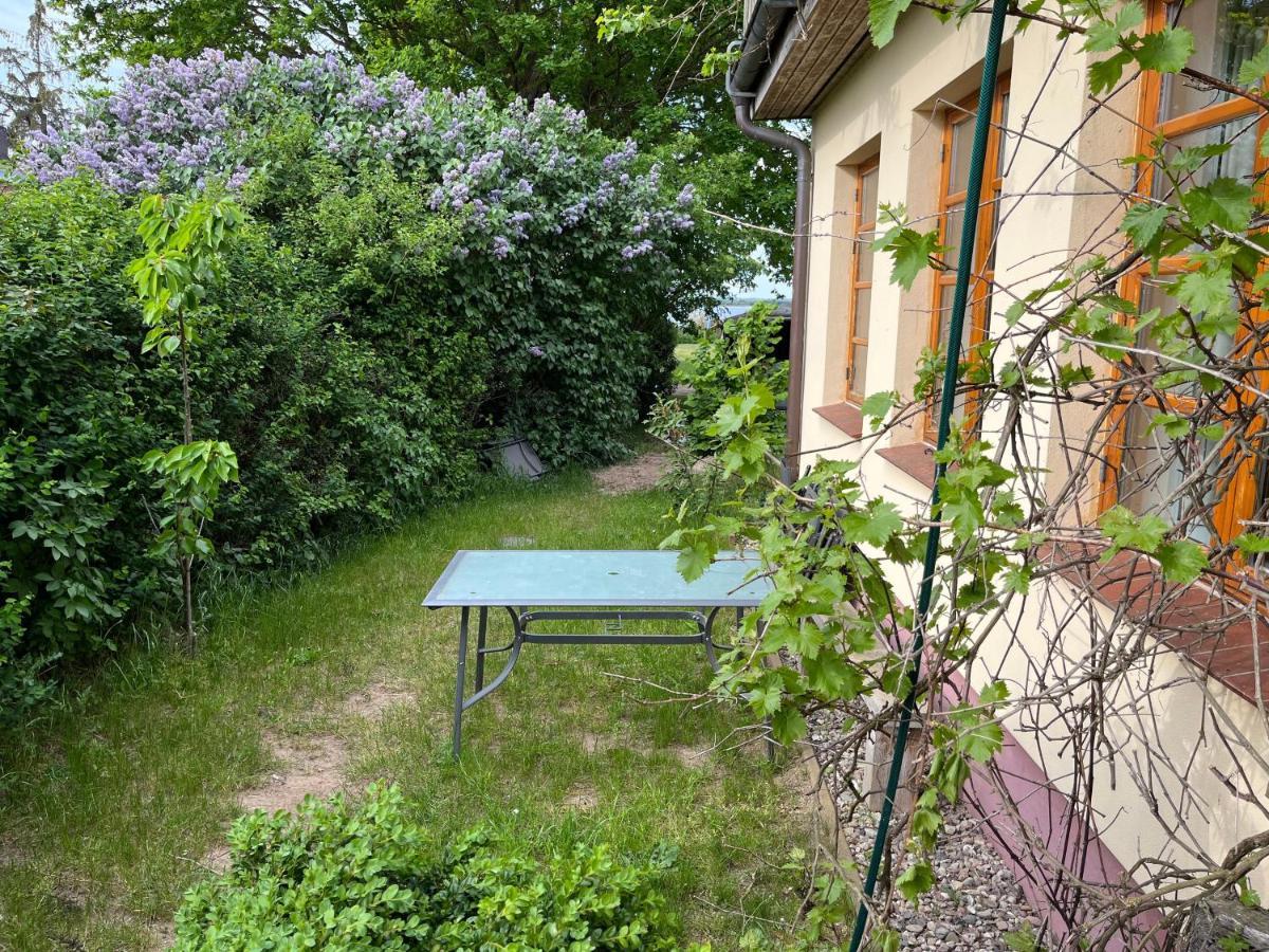"Villa Seeheim" Ferienobjekt Direkt Am Wasser Ovs 692 Gustow  Kültér fotó